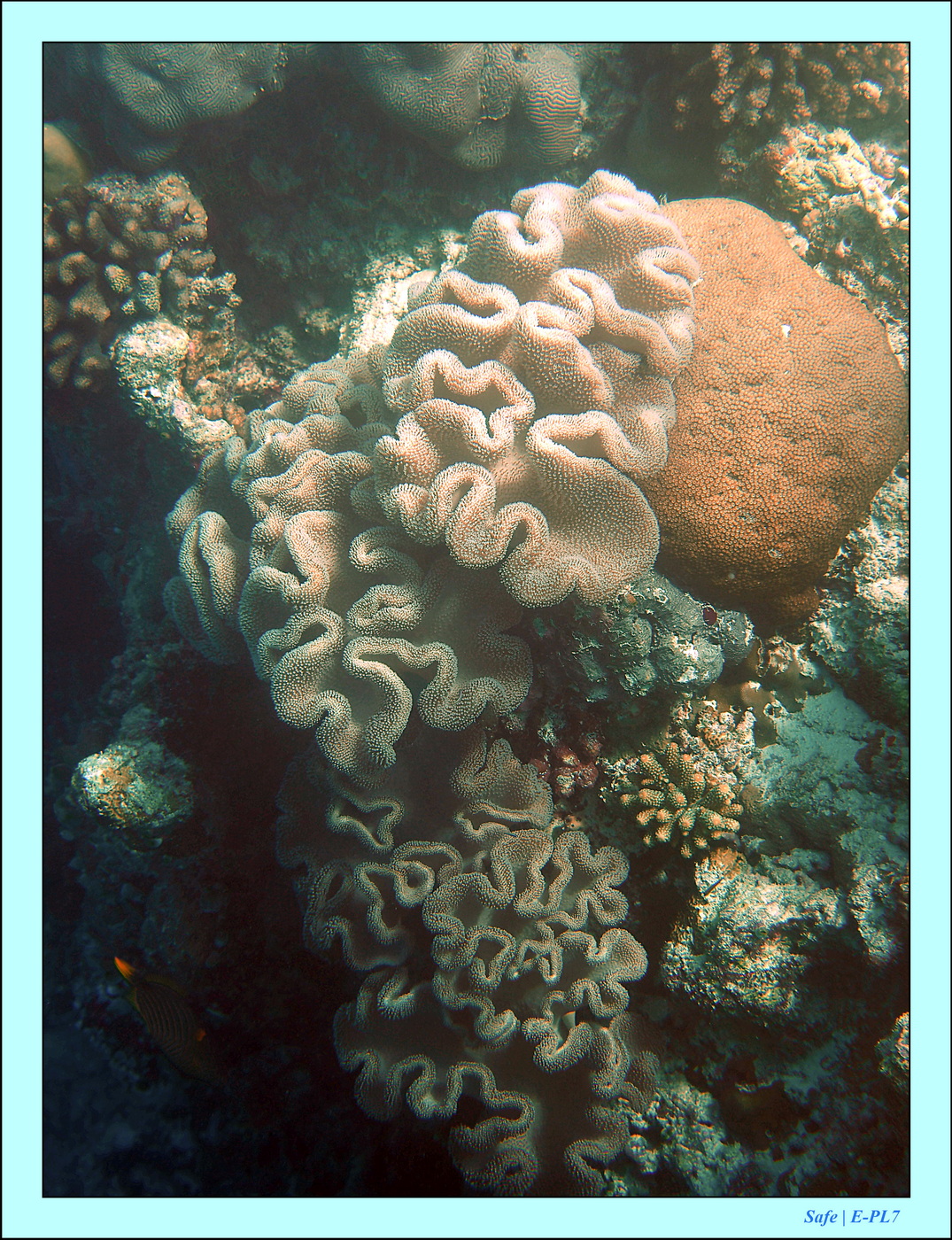 2023 - 07 - Sandies Bathala - 228